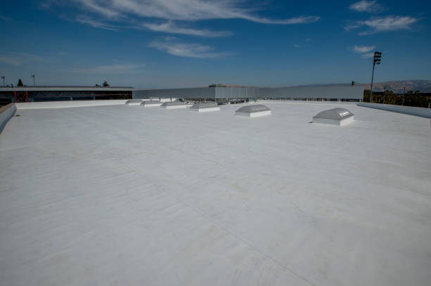 Professional Roofing Services in Edwards, MS